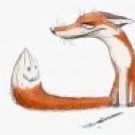 Полуночник